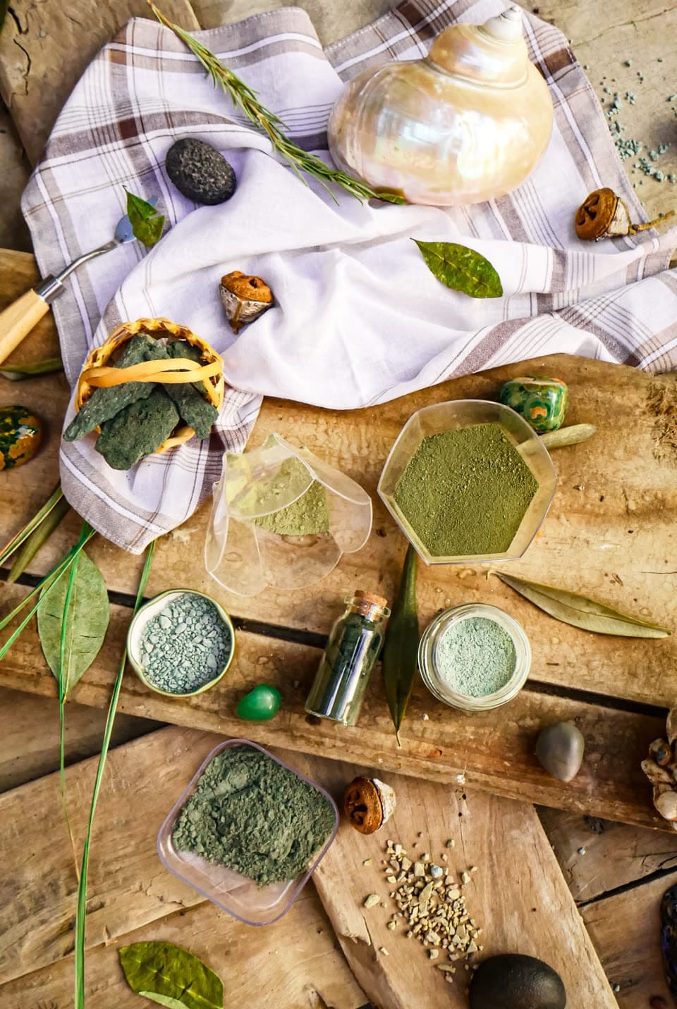 Green herb powders in glass dishes, dried herbs and a shell, laid out on wood and a checked cloth