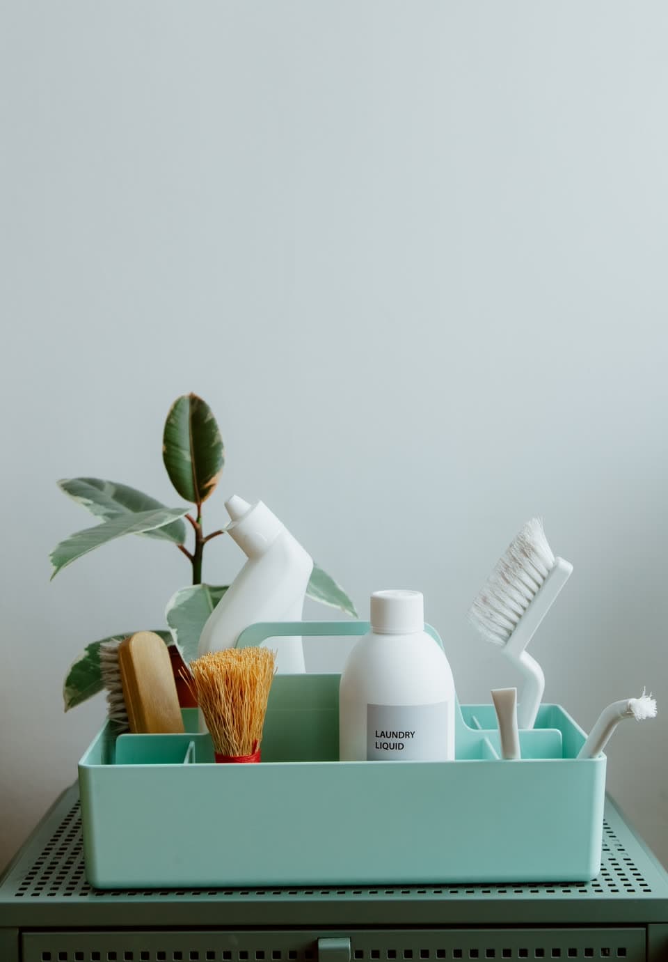 A cleaning caddy holding brushes, a bottle and a plant